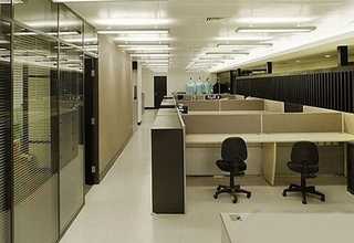 长宁区花卉绿植租赁套餐